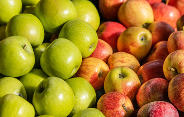 Farmers market, red and green apples, fresh and colorful.