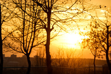 Fototapeta premium SUNRISE