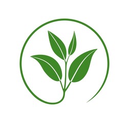 Tea logo.  Isolated tea on white background