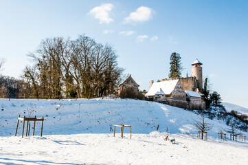 Arlesheim, Schloss Birseck, Burg, Ruine, Ermitage, Dorf, Wanderweg, Wald, Schnee, Schneedecke, Baselland, Birstal, Birseck, Winter, Schweiz