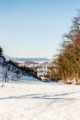 Arlesheim, Dom, Arlesheimer Dom, Kirche, Dorf,  Ermitage, Weinberg, Winter, Schnee, Schneedecke, Winterspaziergang, Domplatz,  Birseck, Baselland, Schweiz