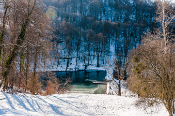 Arlesheim, Ermitage, See, Eis, Eisfl&auml;che, Holzsteg, Winter, Schnee, Schneedecke, Seeufer, Schilf, Wanderweg, Winterwanderung, Wald, Baselland, Schweiz