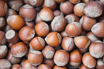 Stack of shelled hazelnuts background. Hazelnut textured pattern.