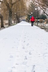 Walking through the winter 