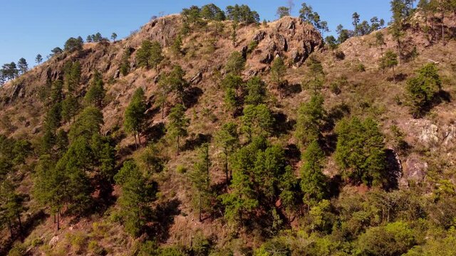 An aerial view of a forested hill in 4K under the daylight