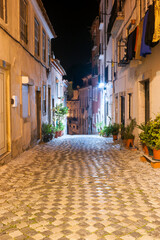 Night view of a narrow street adorned with potted plants and cobblestone floor of the tourist Alfama neighborhood in Lisbon, capital of Portugal