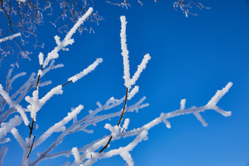 winterstimmung