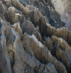 Pointed karst rocks on the Asturian coast