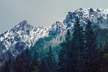 Fototapeta na wymiar Snow-capped peaks in the Alps. Beautiful views
