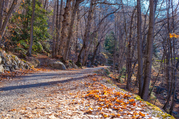Empty road leading to the Abbey of Saint-Martin-du-Canigou, France