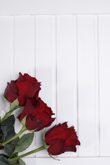 róże trzy duże czerwone na białym blacie