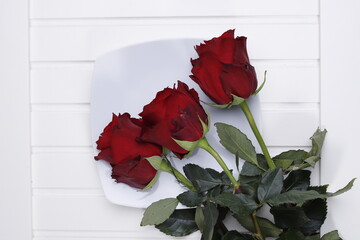 róże trzy duże czerwone na białym blacie - obrazy, fototapety, plakaty