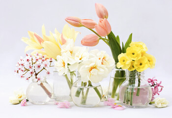 Spring blossoming daffodils, tulips and flowers light bright background, pastel and soft springtime floral card	