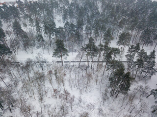 Snowy forest in a blizzard. Aerial drone view. Winter snowy morning.