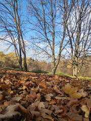 South Park in city of Sofia, Bulgaria