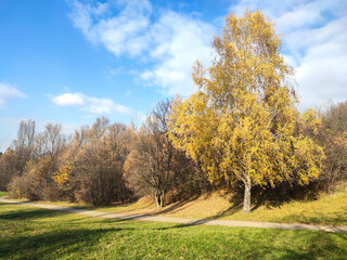 Naklejka premium South Park in city of Sofia, Bulgaria
