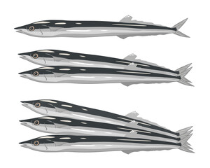 サンマ　線無し