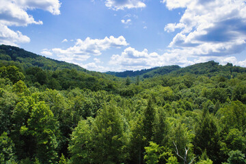 Fototapeta na wymiar Vast woodlands in the Appalachen mountains. Biomass production