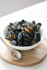 Muscheln