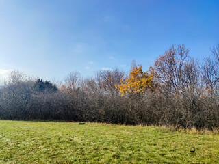 Obraz premium South Park in city of Sofia, Bulgaria