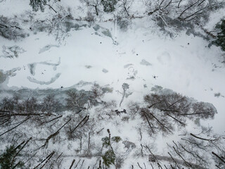 A frozen lake in the middle of a snowy forest. Aerial drone view. Winter snowy morning.