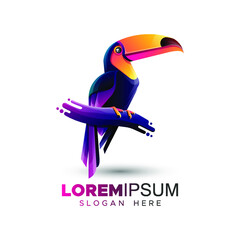 Premium Colorful Logo Template © Arif Asyrof-zonapen