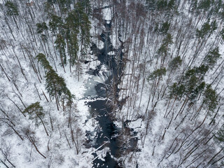 Freezing stream in a snowy forest. Aerial drone view. Winter cloudy morning.