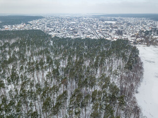 Snow-covered pine trees in the forest. Aerial drone view. Winter snowy morning.