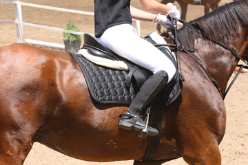  Show jumper horse under saddle in action