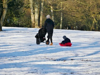 Rodeln im Jacobipark