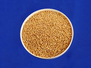 seeds of Chenopodium quinoa plant as tasty vegetarian food