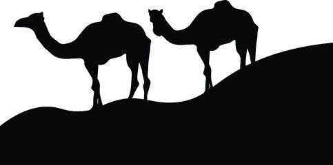 a silhouette of two arabian camel wlking is sahra, isolated camels vector