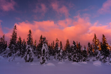 Fototapeta na wymiar Evening at Tjuvåsen Hill, part of the Totenåsen Hills, Norway, at winter.