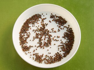 broccoli seeds in pot close up