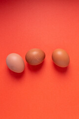 Isolated chicken eggs on a red background. Vertical orientation. View from above.