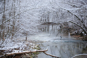 Creek in winter with heron in water