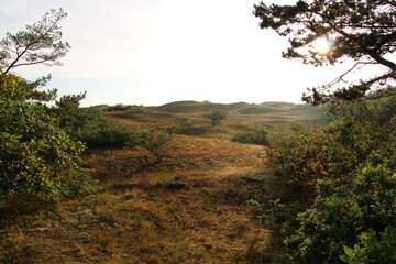 Spiekeroog, inner sand dunes / Spikeroog, Dünen in Lee
