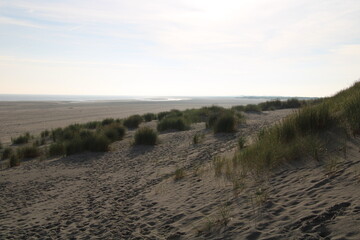 Spiekeroog, sand dunes / Sanddünen auf Spiekeroog