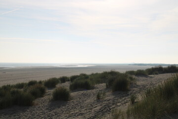 Spiekeroog, sand dunes / Sanddünen auf Spiekeroog