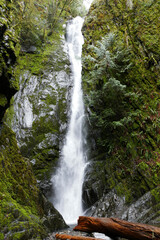 Scenic waterfall in a canadian forest.