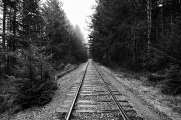 Abondoned white and black railroadtracks in Canada