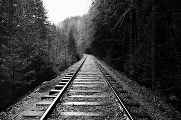 Railroad tracks in black and white. 