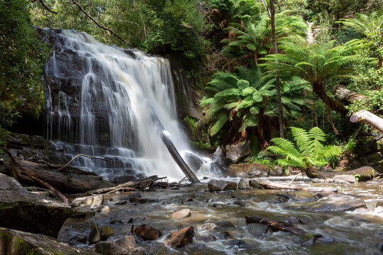Lilydale water falls Northern Tasmania