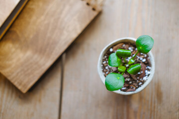 Notebooks with a wooden cover lie on the table with a green flower