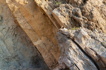 Texture - sandstone rock lit by the sun