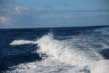 waves crashing on the beach