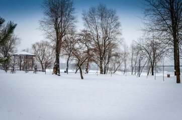 Winter landscape in the city park