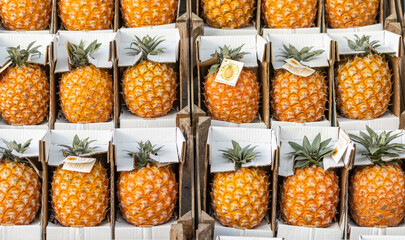 Pineapples on display at farmers market, fresh and healthy fruits.