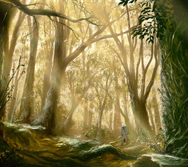 forest in the morning sun