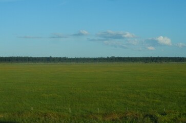 field and blue sky